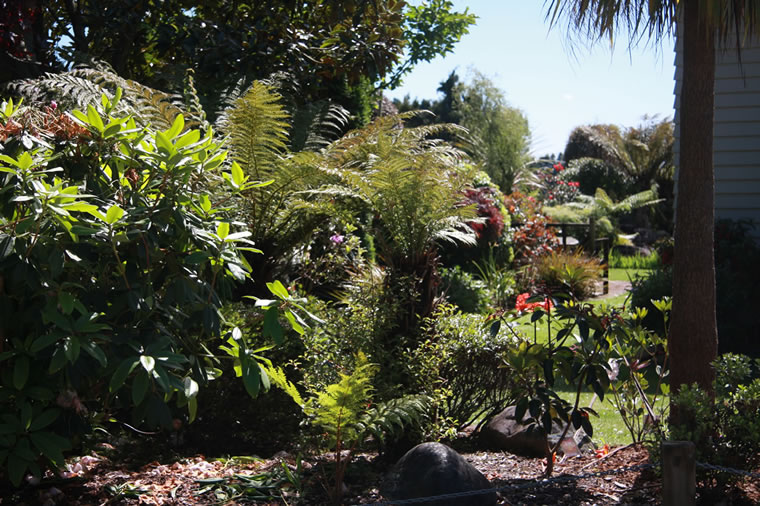 Wild, Native Inspired Gardens