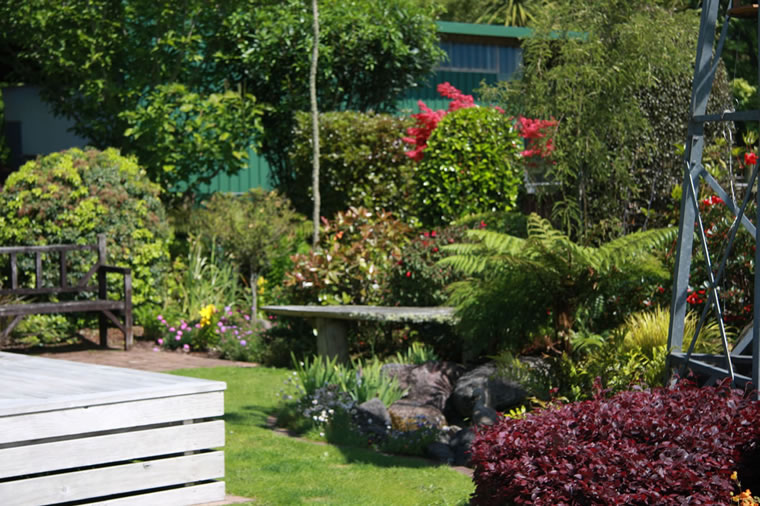 Wild, Native Inspired Gardens