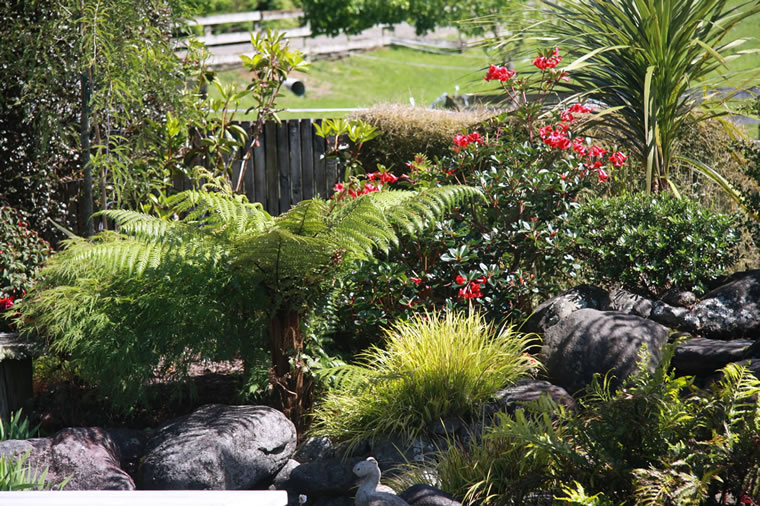 Wild, Native Inspired Gardens